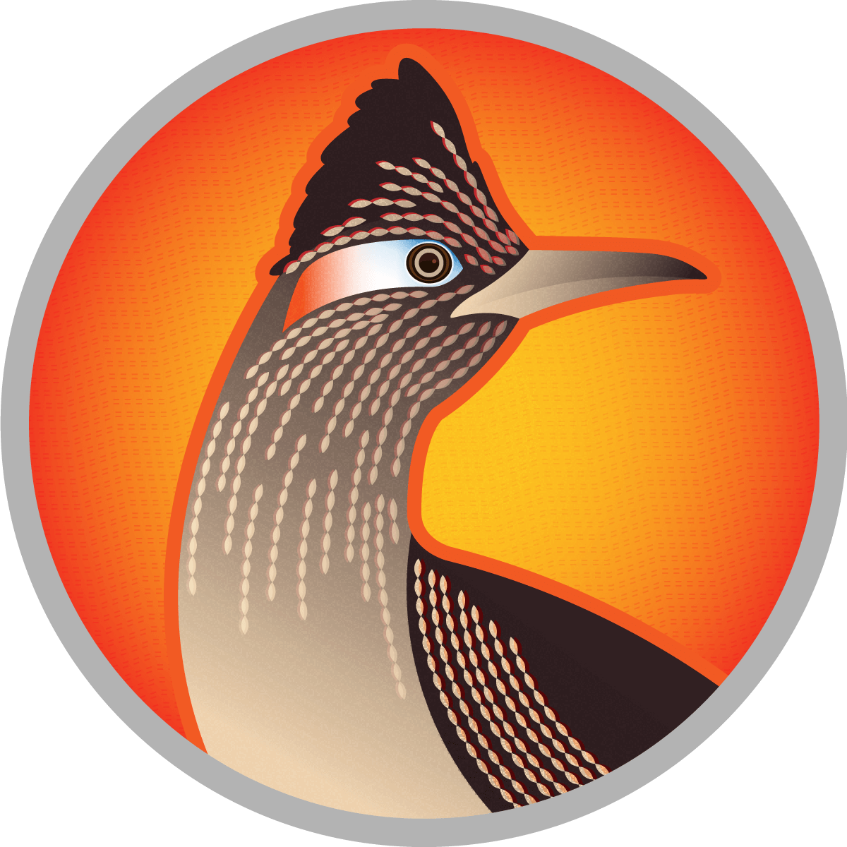 Birds Of Greater Roadrunner Geococcyx Californianus - Oro Sports Village Hyderabad Clipart (1200x1200), Png Download