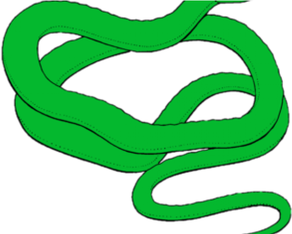 Garter Snake Clipart Pink Snake - Clip Art - Png Download (640x480), Png Download