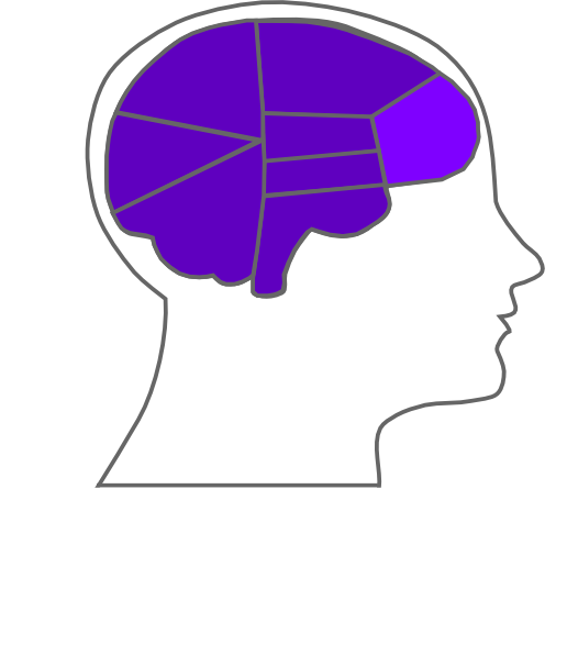 Head And Brain Outline Svg Clip Arts 516 X 597 Px - Png Download (516x597), Png Download