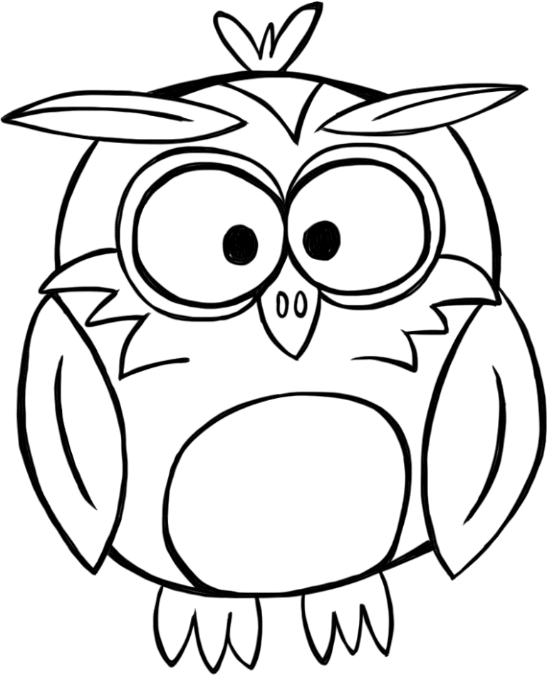 Banner Library Download Black And White Owl Clipart - Black And White Outline Owl - Png Download (830x959), Png Download