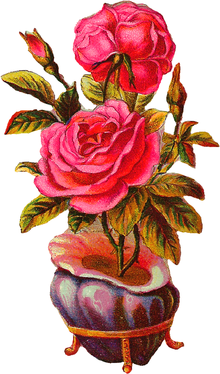 Botanical Vintage Download Pink Rose With Shell Vase - Vintage Vase Png Flower Clipart (993x1600), Png Download