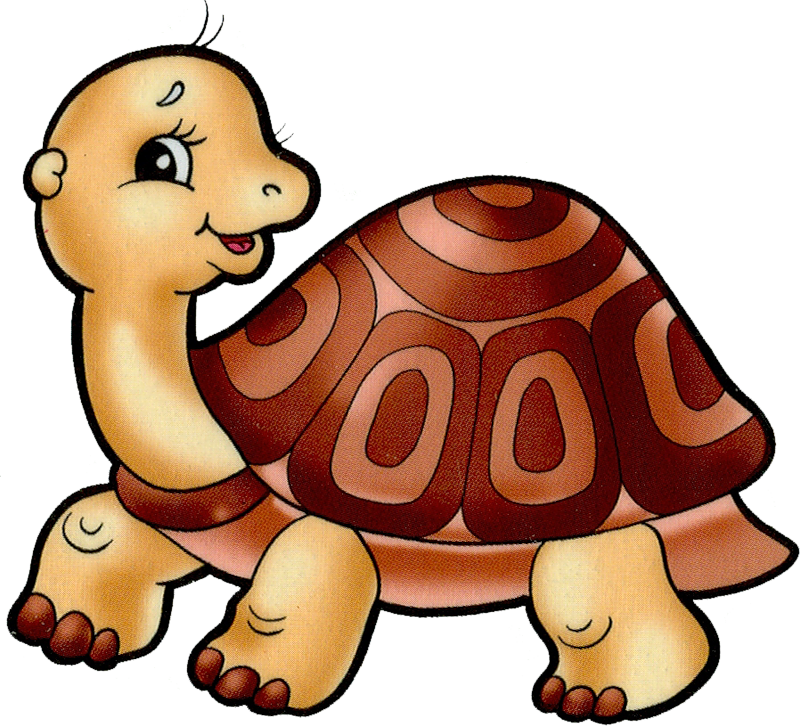 Фото, Автор Svetlera На Яндекс - Tortugas Animados Tiernos Clipart (800x726), Png Download
