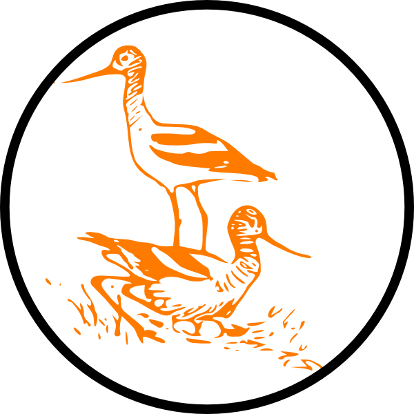 Bird Clipart (600x600), Png Download