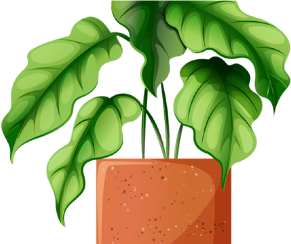 Potted Plants Clipart 1 Flower - Clip Art - Png Download (640x480), Png Download