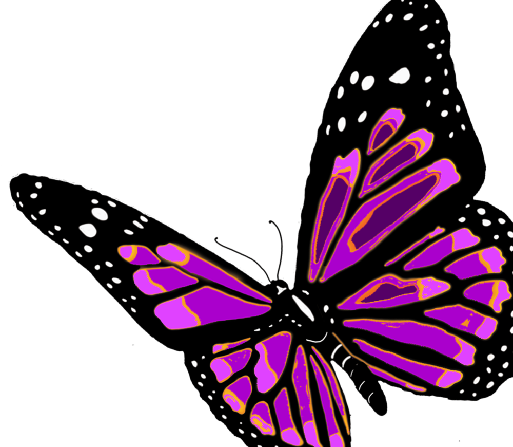 Butterfly Clipart (1000x870), Png Download