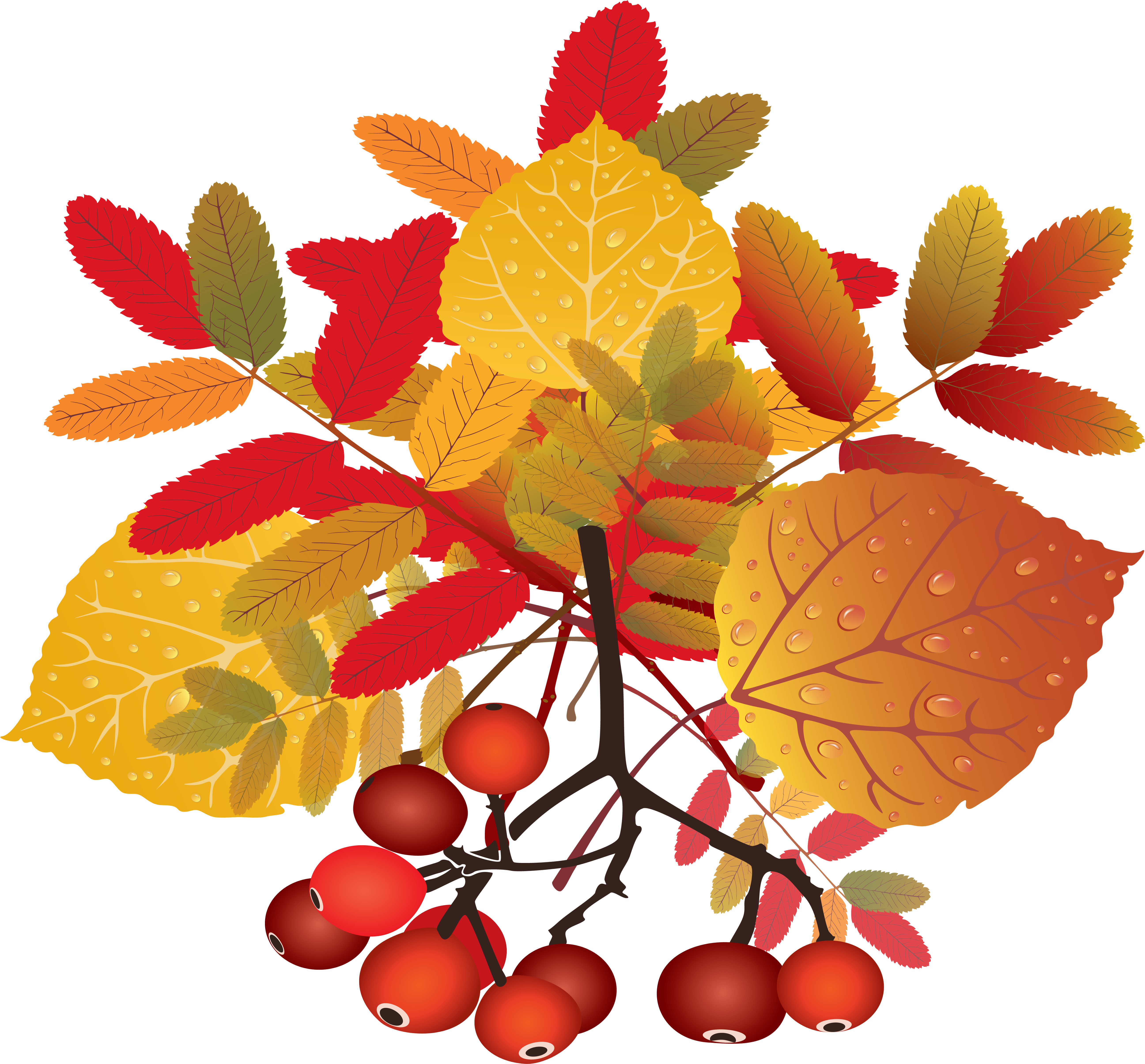 Explore These Ideas And More - Autumn Clipart (5217x4823), Png Download