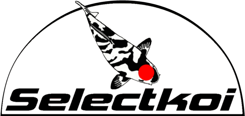 Menu - Illustration Clipart (950x450), Png Download