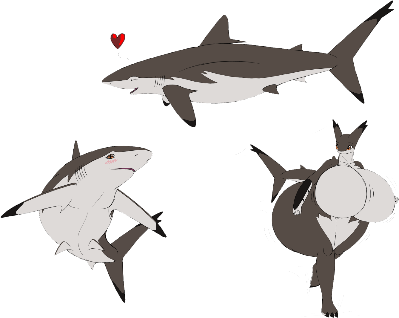 Clipart Freeuse Library Great White Chondrichthyes - Great White Shark - Png Download (1337x1064), Png Download
