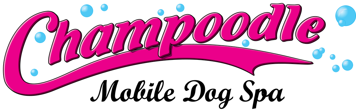 Policies Clipart (1202x378), Png Download