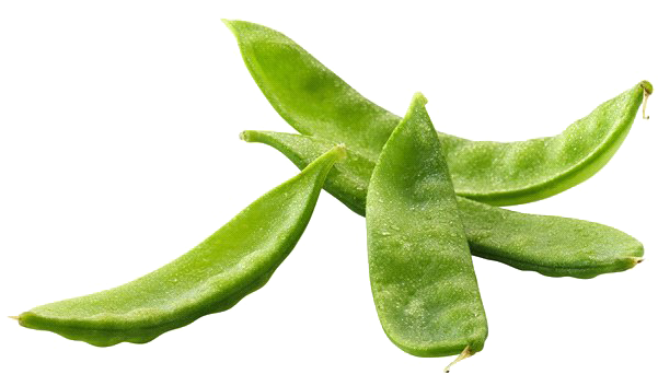Pea Png Free Image - Snap Pea Clipart (600x600), Png Download