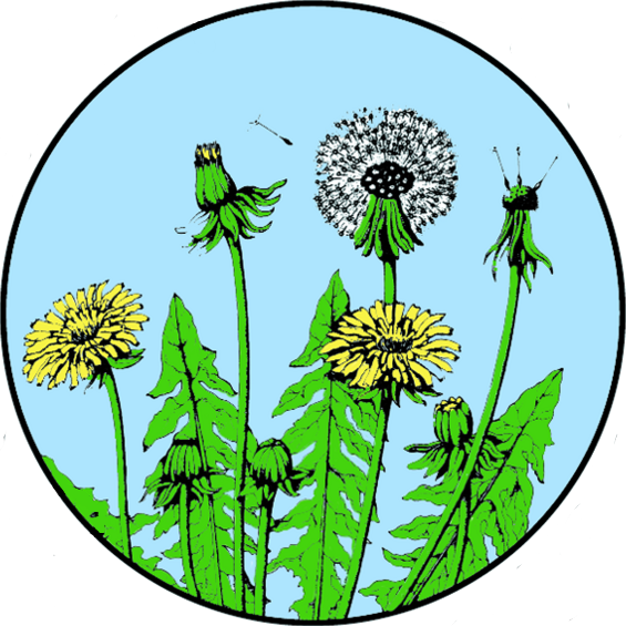 Center For Sustainable Living Sustainable Living, Non - Illustration Clipart (565x565), Png Download