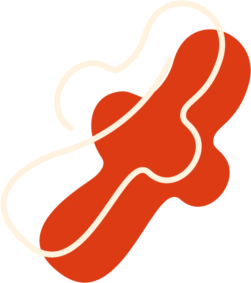 Artboard 35@2x-8 Clipart (1000x1000), Png Download