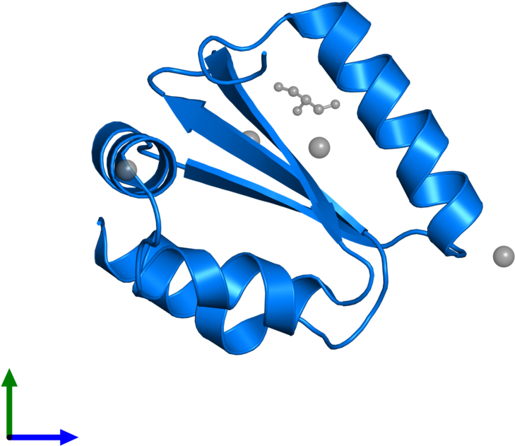 <div Class='caption-body'>pdb Entry 1yd0 Contains 1 - Graphic Design Clipart (800x800), Png Download