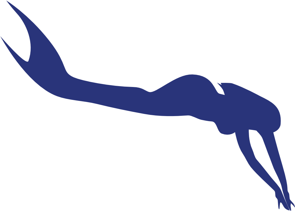 Mermaid , Png Download Clipart (1001x718), Png Download