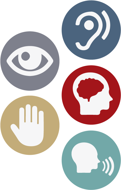 Alt - Circle Clipart (517x792), Png Download