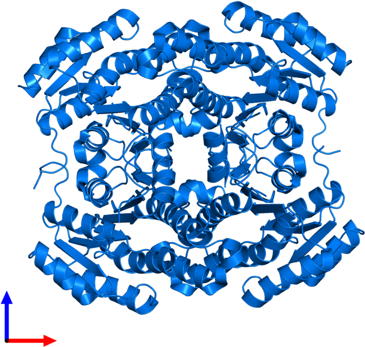 <div Class='caption-body'>pdb Entry 3enn Contains 4 Clipart (800x800), Png Download