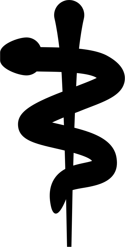 496 X 981 1 - Cross Clipart (496x981), Png Download