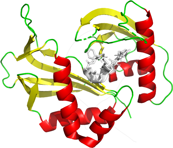 Crystal Cas6 Glycine-rich Bucle - Graphic Design Clipart (878x704), Png Download