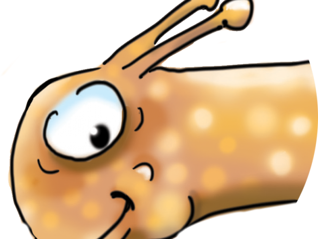 Snail Clipart President - Cartoon - Png Download (640x480), Png Download