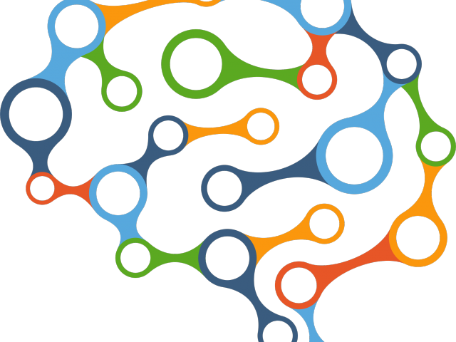 Circle Clipart Brain - Settimana Del Cervello 2017 - Png Download (640x480), Png Download