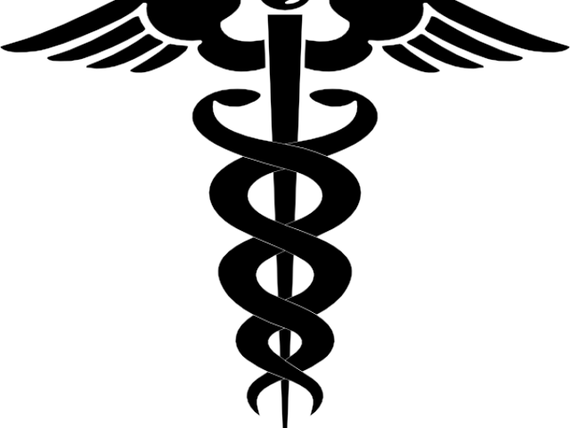 Medical Clipart Medical Profession - Clip Art Medical Symbol - Png Download (640x480), Png Download