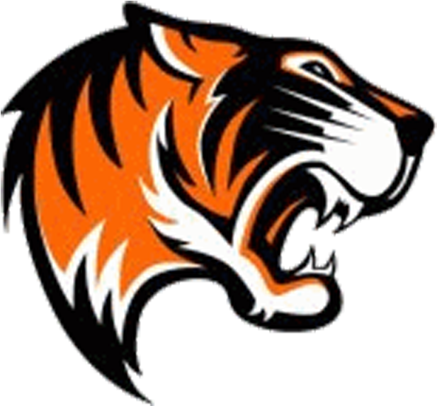 Tigre , Png Download Clipart (617x573), Png Download