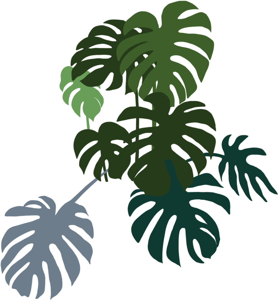 Monstera Bunch Left - Decoração Minimalista Com Plantas Clipart (1000x1049), Png Download