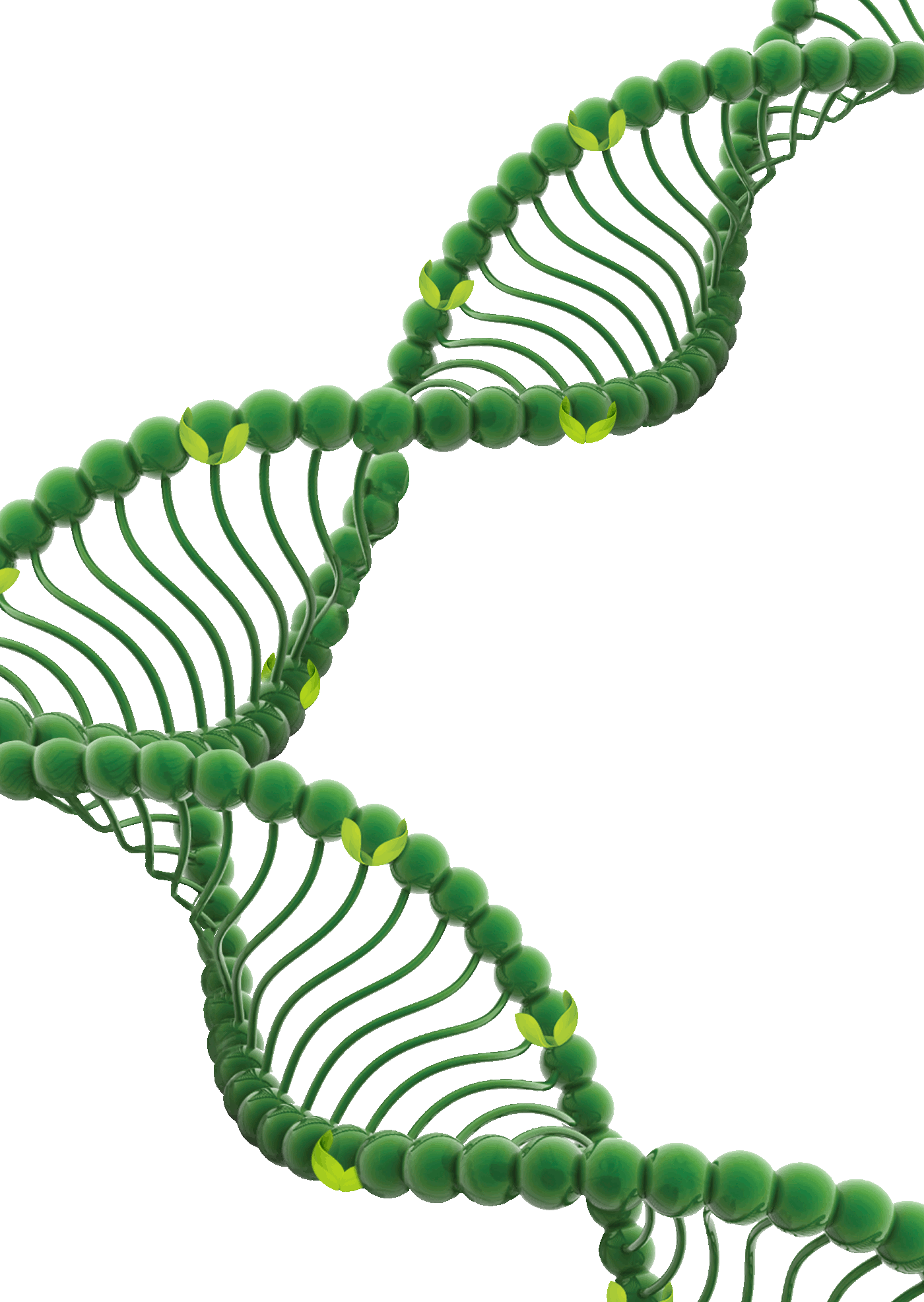 For Several Years Before Disease Onset, A Patient May Clipart (1400x1973), Png Download