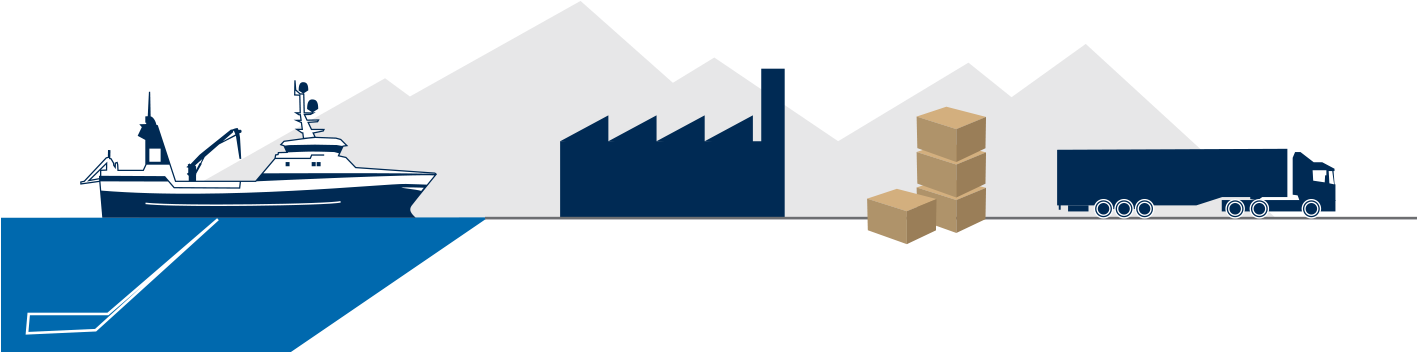 Immediately After The Prawns Have Been Caught And Hauled Clipart (1750x432), Png Download