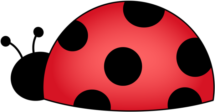Фото, Автор Cutepictures На Яндекс - Ladybug Clipart (800x800), Png Download