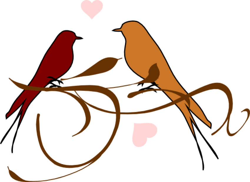 Free Png Download Love Birds Png Images Background Clipart (850x620), Png Download