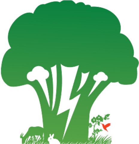 Baking Clipart Transparent - Broccoli - Png Download (640x480), Png Download