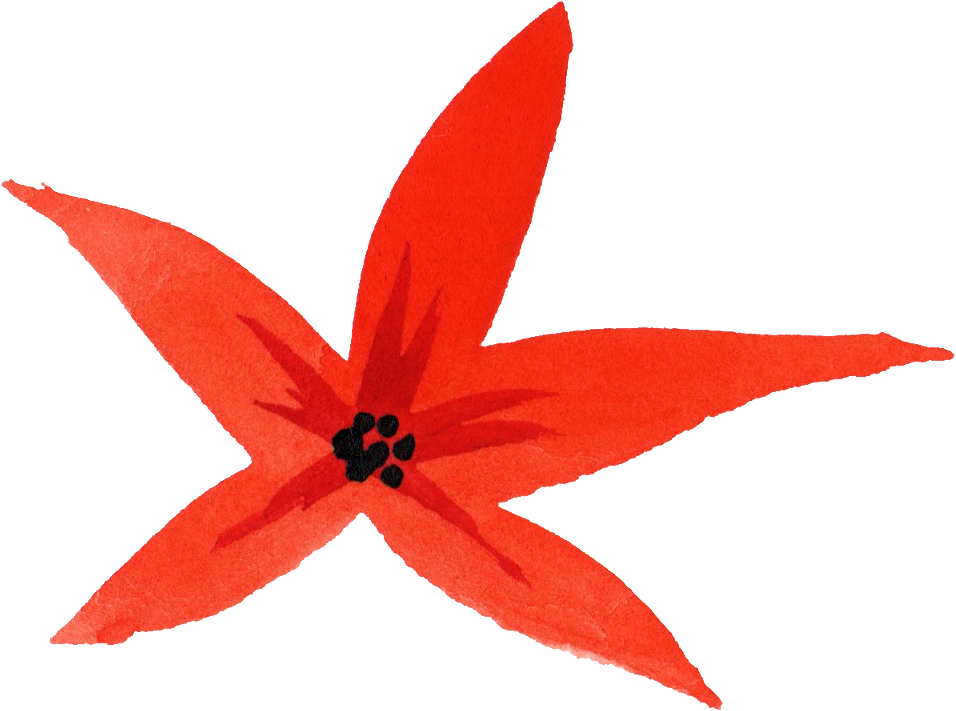 956 X 711 8 - Flower Clipart (956x711), Png Download