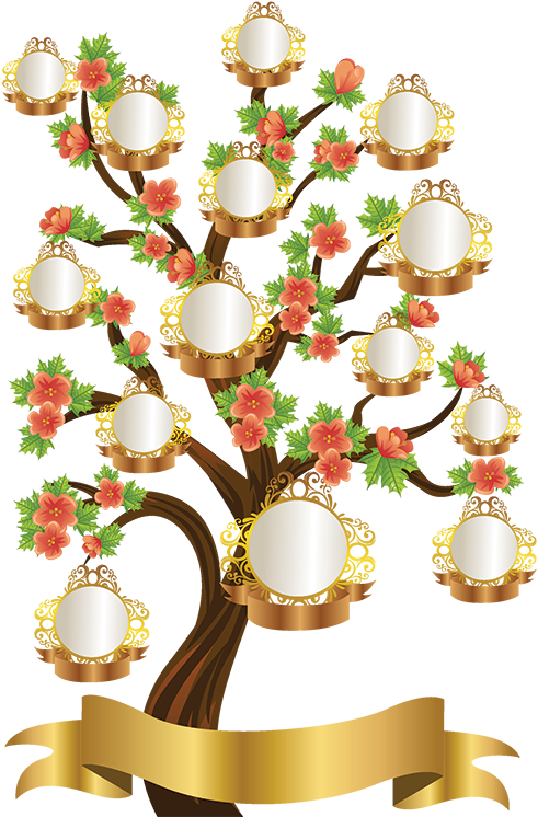 High Resolution Family Tree Template - Family Tree Template High Resolution Clipart (491x746), Png Download