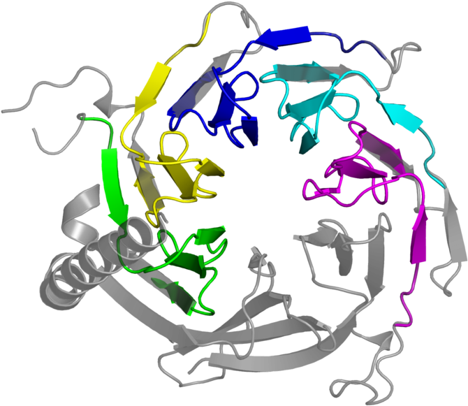 <div Class='caption-body'>5 Copies Of Pfam Domain < - Illustration Clipart (800x800), Png Download