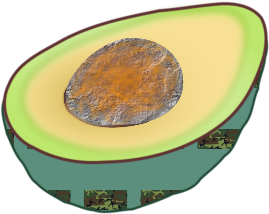 Avocado Clipart - Png Download (900x725), Png Download