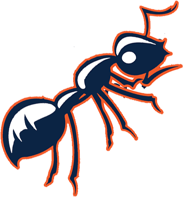 Air Freight - Cartoon Clipart (742x780), Png Download