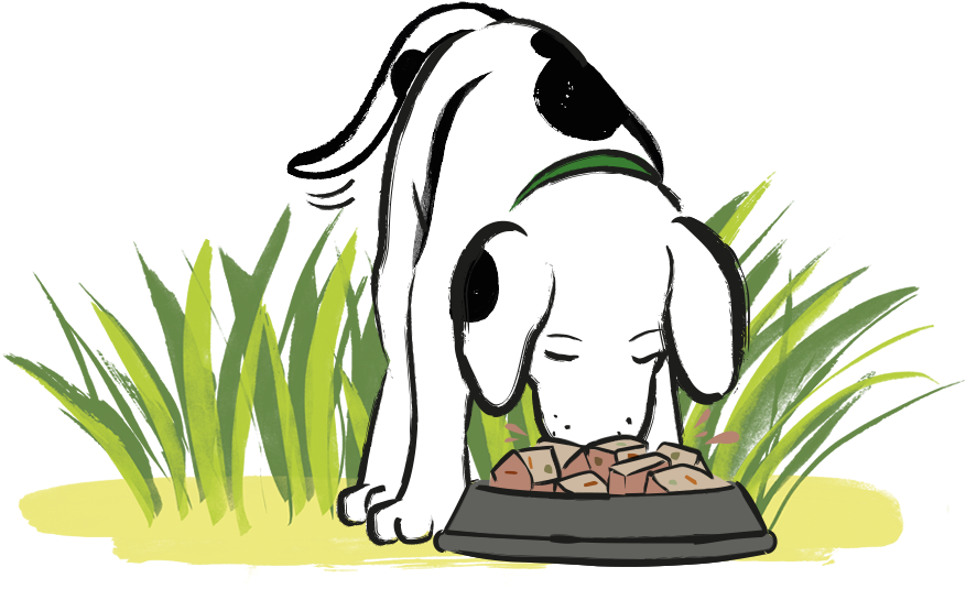 Free Puppy Pack Clipart (1112x600), Png Download