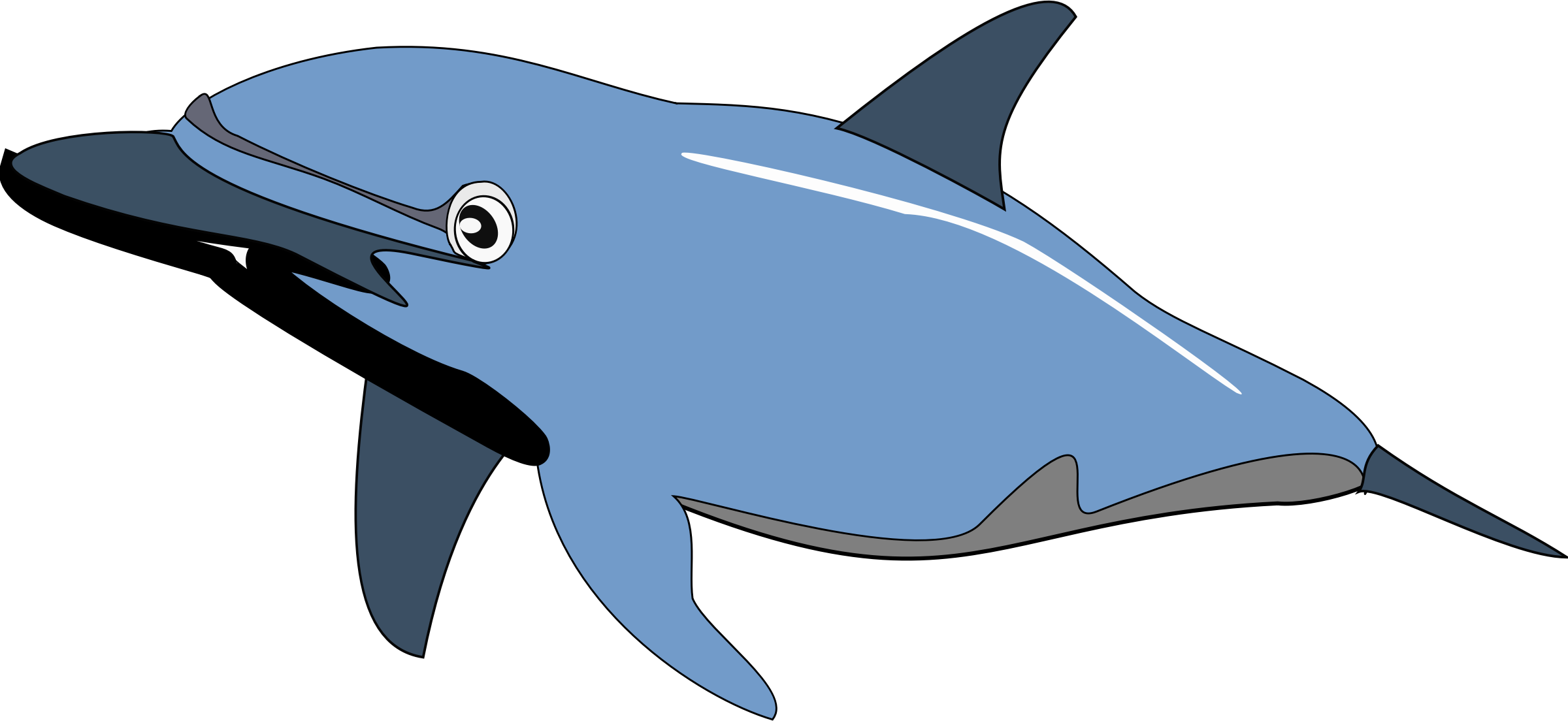 Big Image - Dolphin Clip Art - Png Download (2400x1104), Png Download