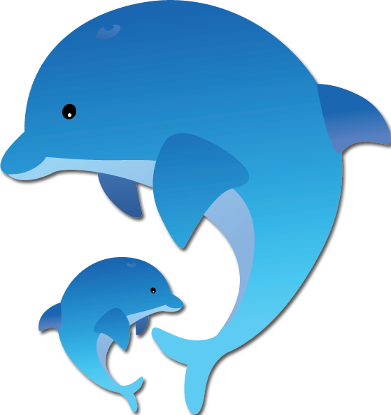 Dolphin Png Kids Clipart (559x594), Png Download