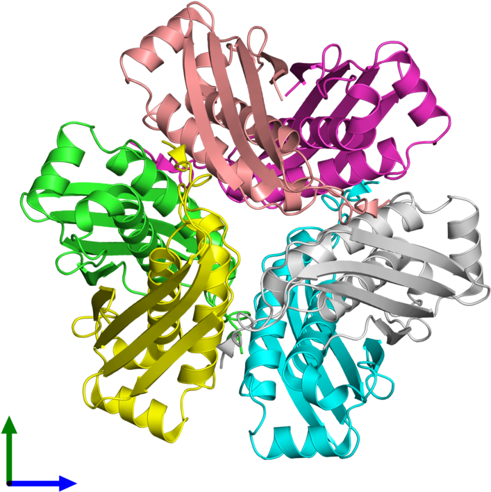 Pdb 2ohd Coloured By Chain And Viewed From The Front - Illustration Clipart (800x800), Png Download