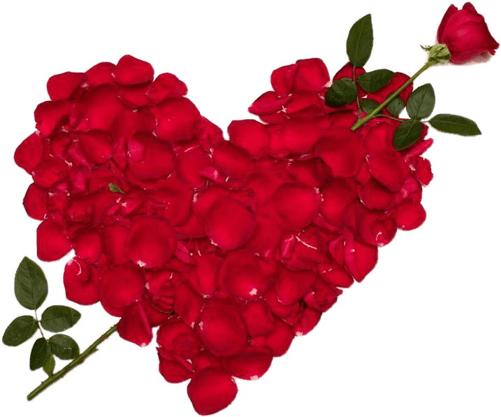Valentines Day Roses Make Heart Transparent Png Images - Love Flower Clipart (960x720), Png Download