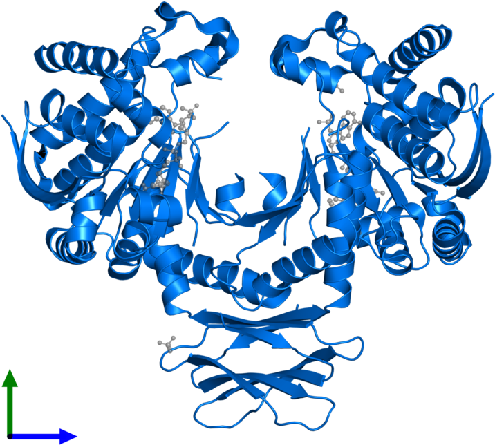 <div Class='caption-body'>pdb Entry 4i3l Contains 2 Clipart (800x800), Png Download