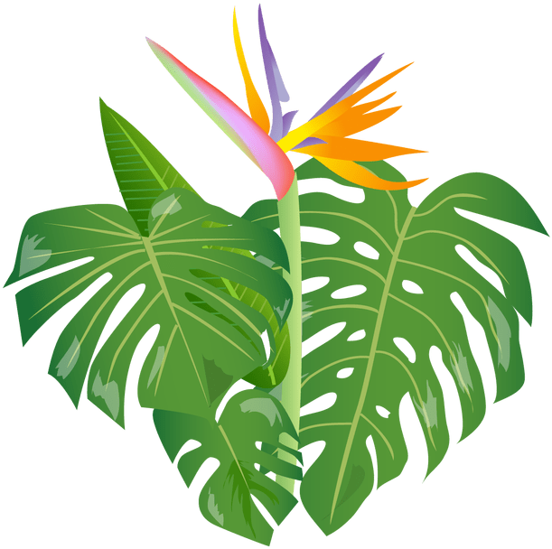 Shrub Clipart Jungle - Clip Art - Png Download (680x623), Png Download