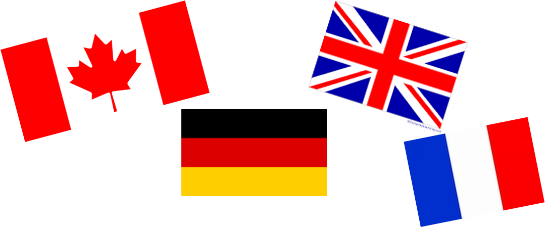 Every Bit Of This Plagued My Mind All At Once As I - Flag Clipart (1079x449), Png Download