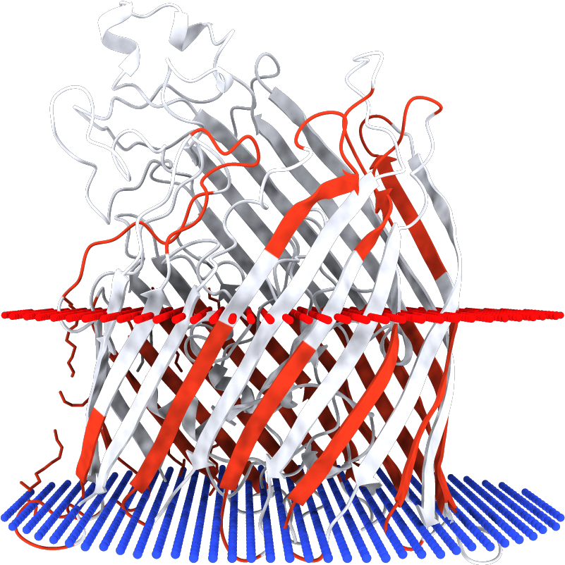Transmembrane Regions Opm - Illustration Clipart (1000x1000), Png Download