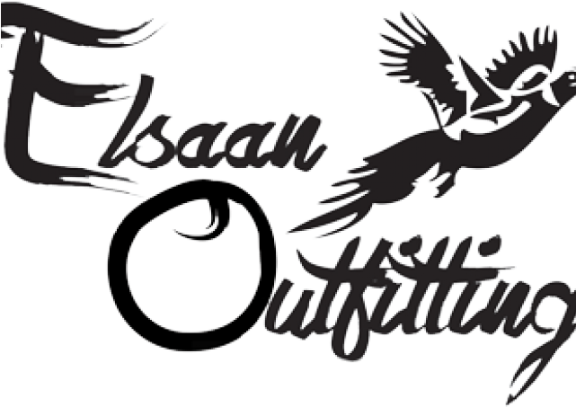 Pheasant Clipart Ohio - Graphic Design - Png Download (640x480), Png Download