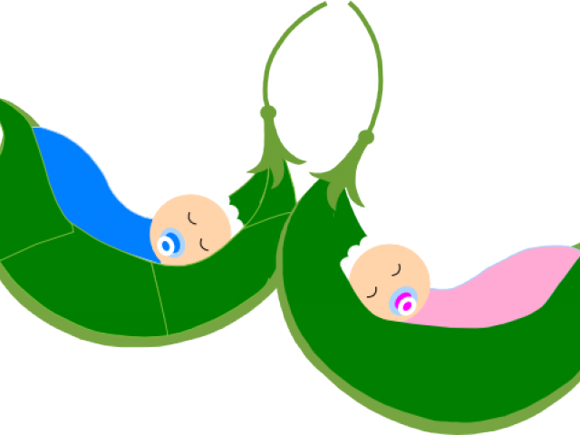Pea Clipart Large - Pea Pods - Png Download (640x480), Png Download