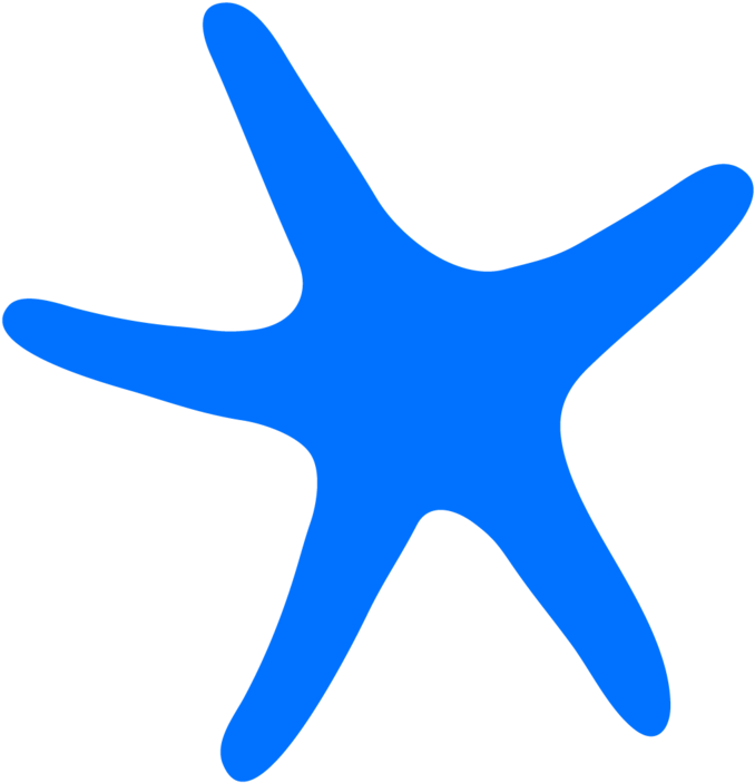 Artboard 2sweet Salt Footnotes - Starfish Clipart (1000x999), Png Download