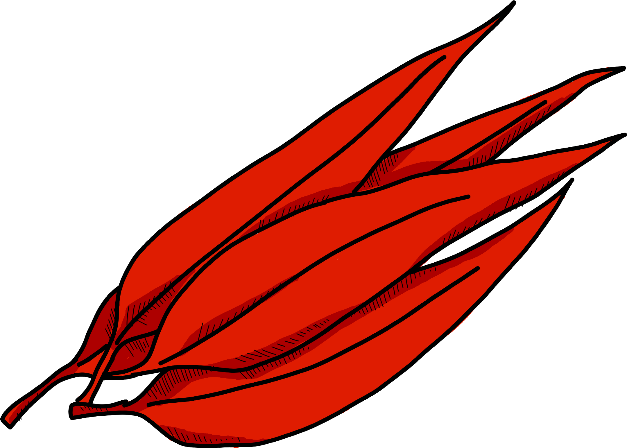 Spicy - Illustration Clipart (2400x2400), Png Download